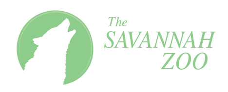 savannah zoo site